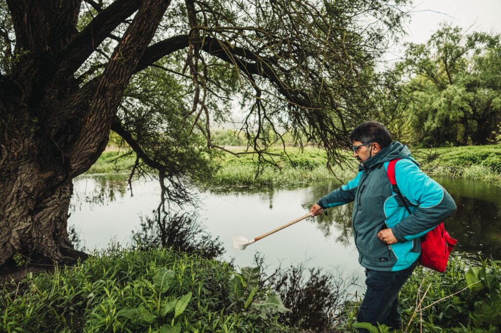Wetland Delineation Field Methods