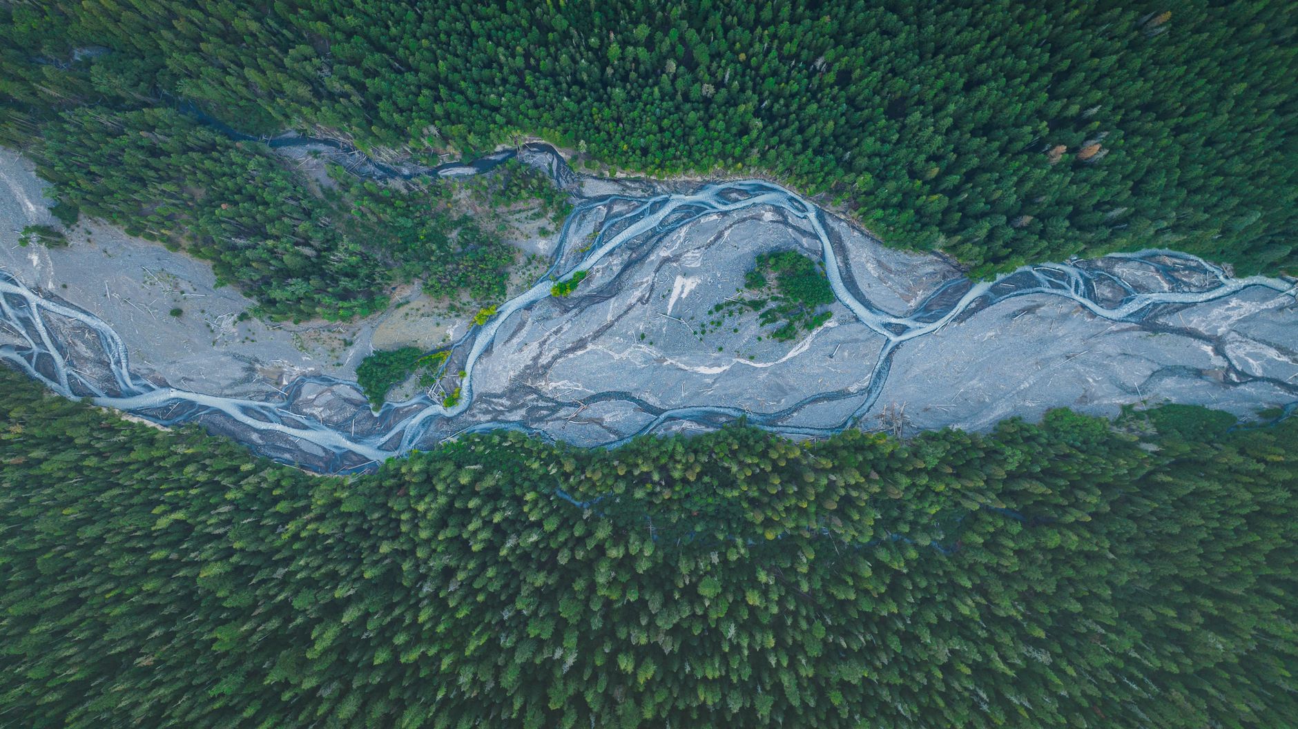 A science-based voice for environmental practice.