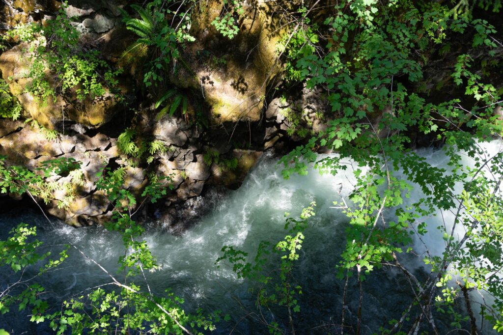 Southern Oregon
