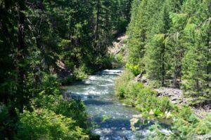 Beautiful aerial view of the Rogue River flowing through lush Oregon forest on a sunny day.