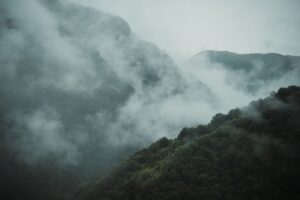 A peaceful misty mountain scene with lush green forests enveloped in clouds.