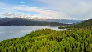 Breathtaking aerial view of lush green forest and distant mountain range by a tranquil lake in Montana, USA.