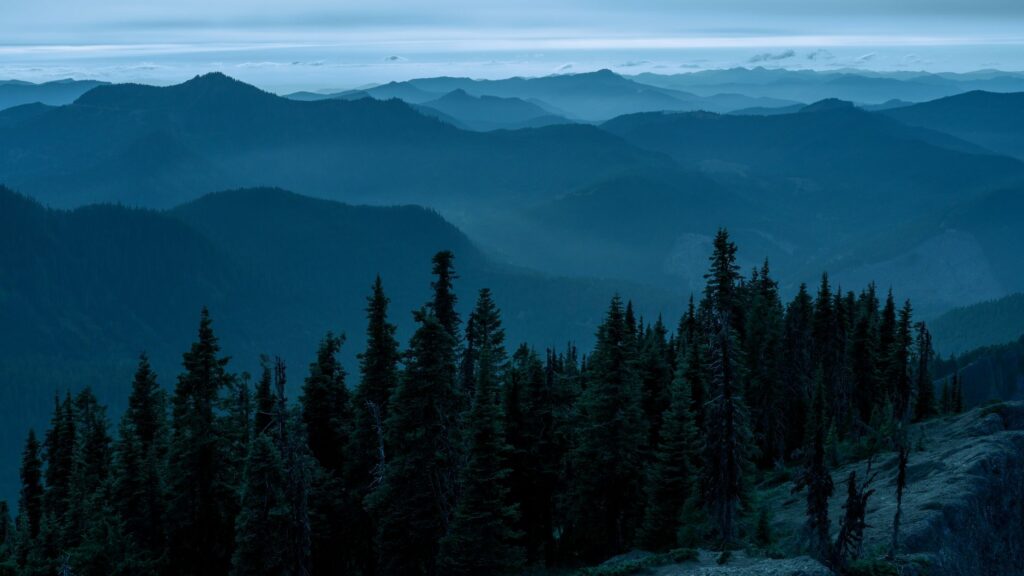 Climate Resilience Planning Webinar