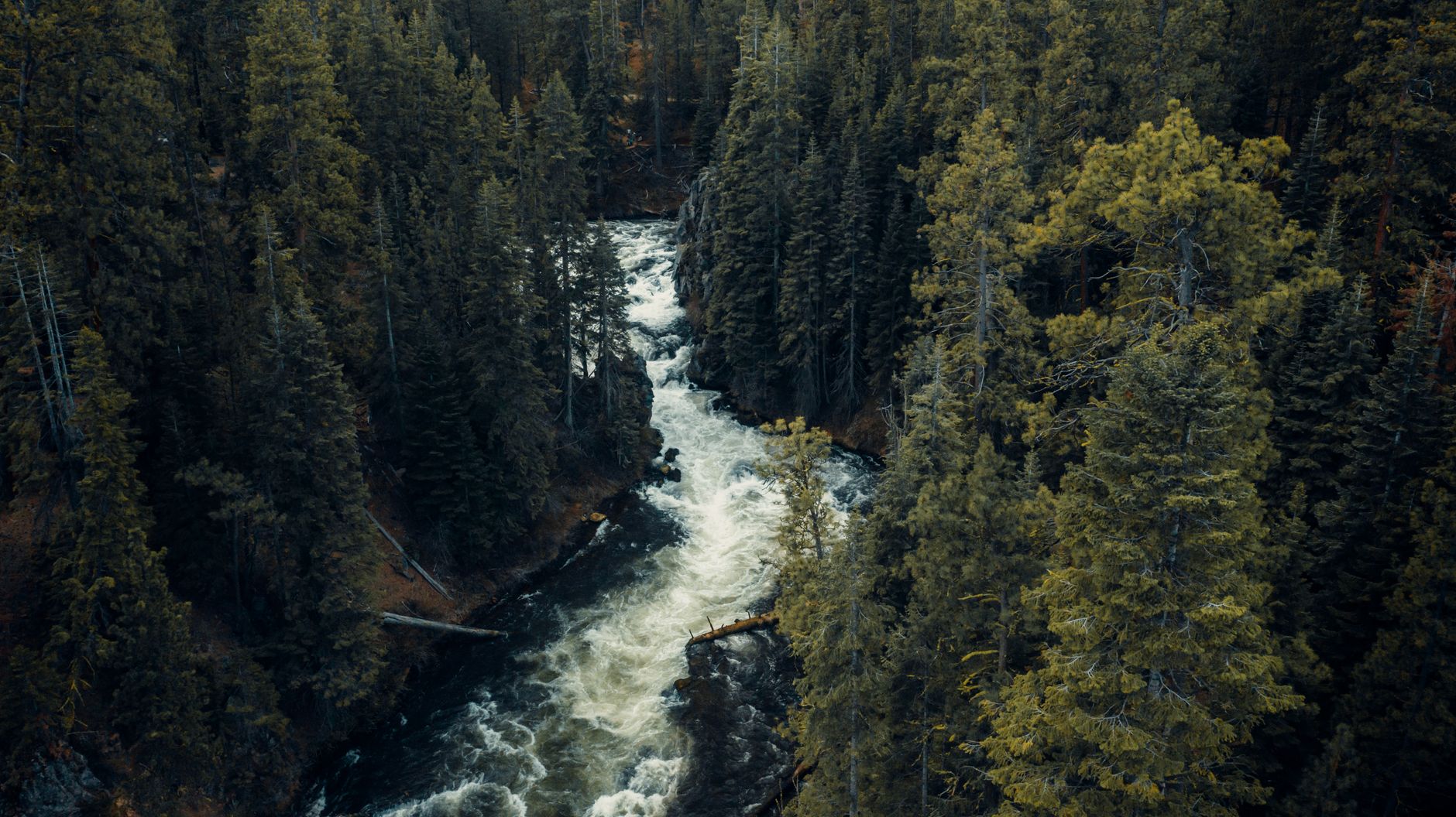 A professional home for environmental practice in the Northwest.
