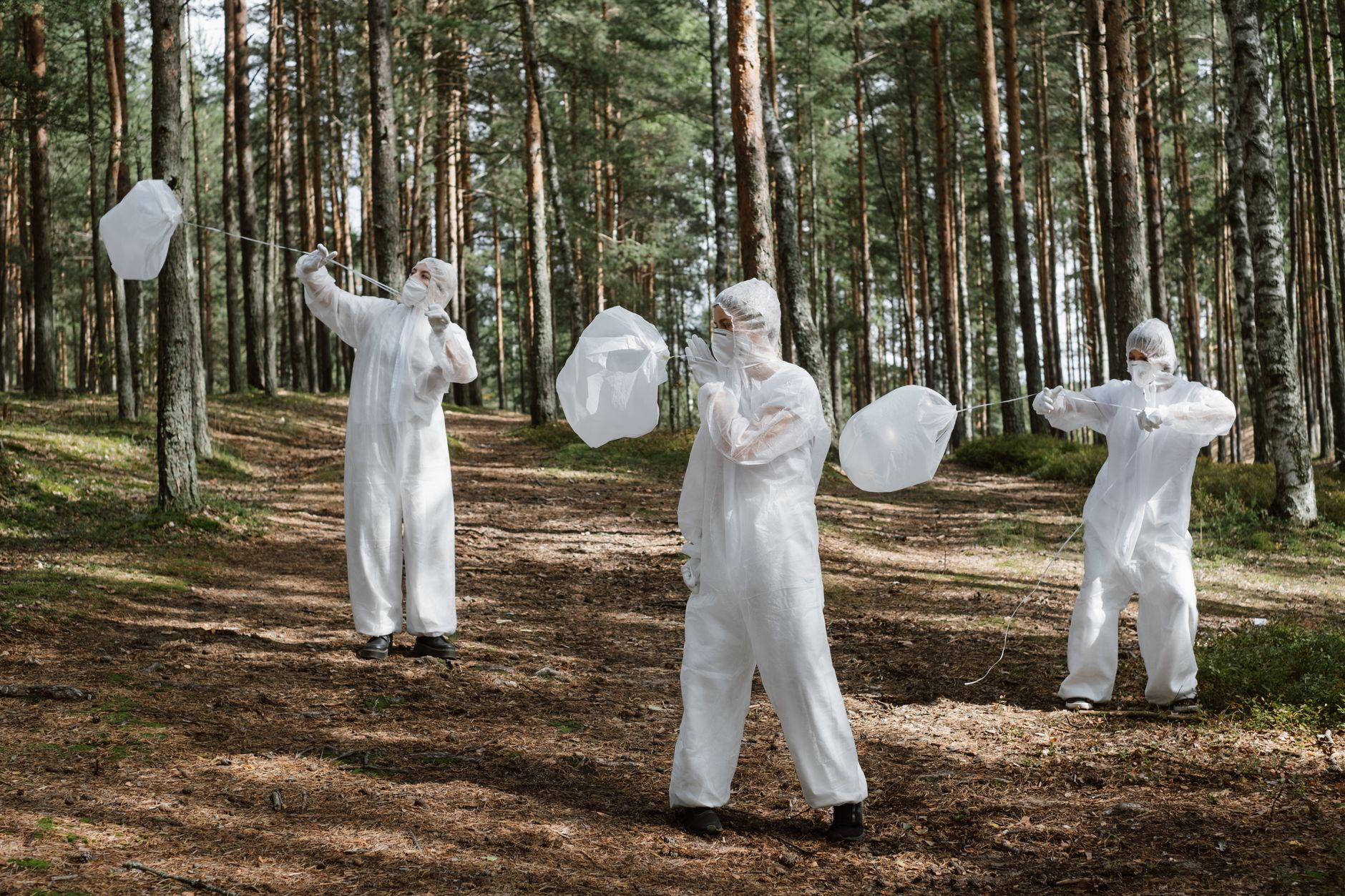 Environmental professionals conducting a field assessment in a forest